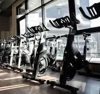 Health & Wellness