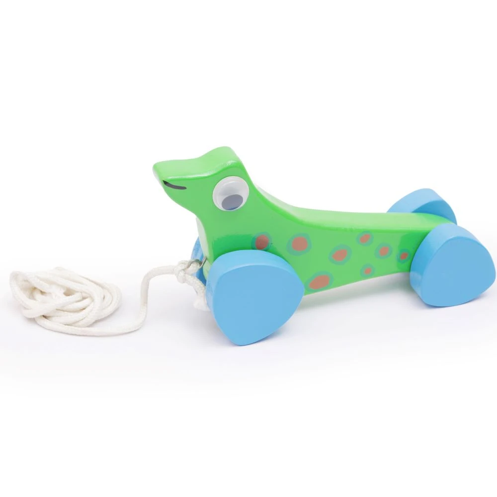 Opa Toys Wooden Pull & Push Along Toy – Sea Lion (Green) – Large Size, Eco-Frien