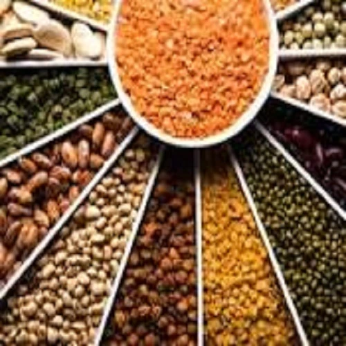 Food& Grocery