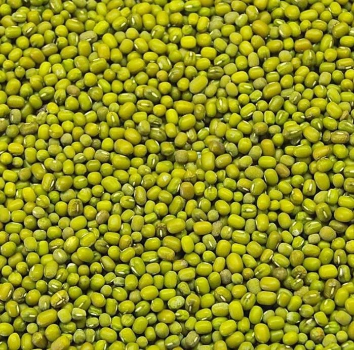 Moong