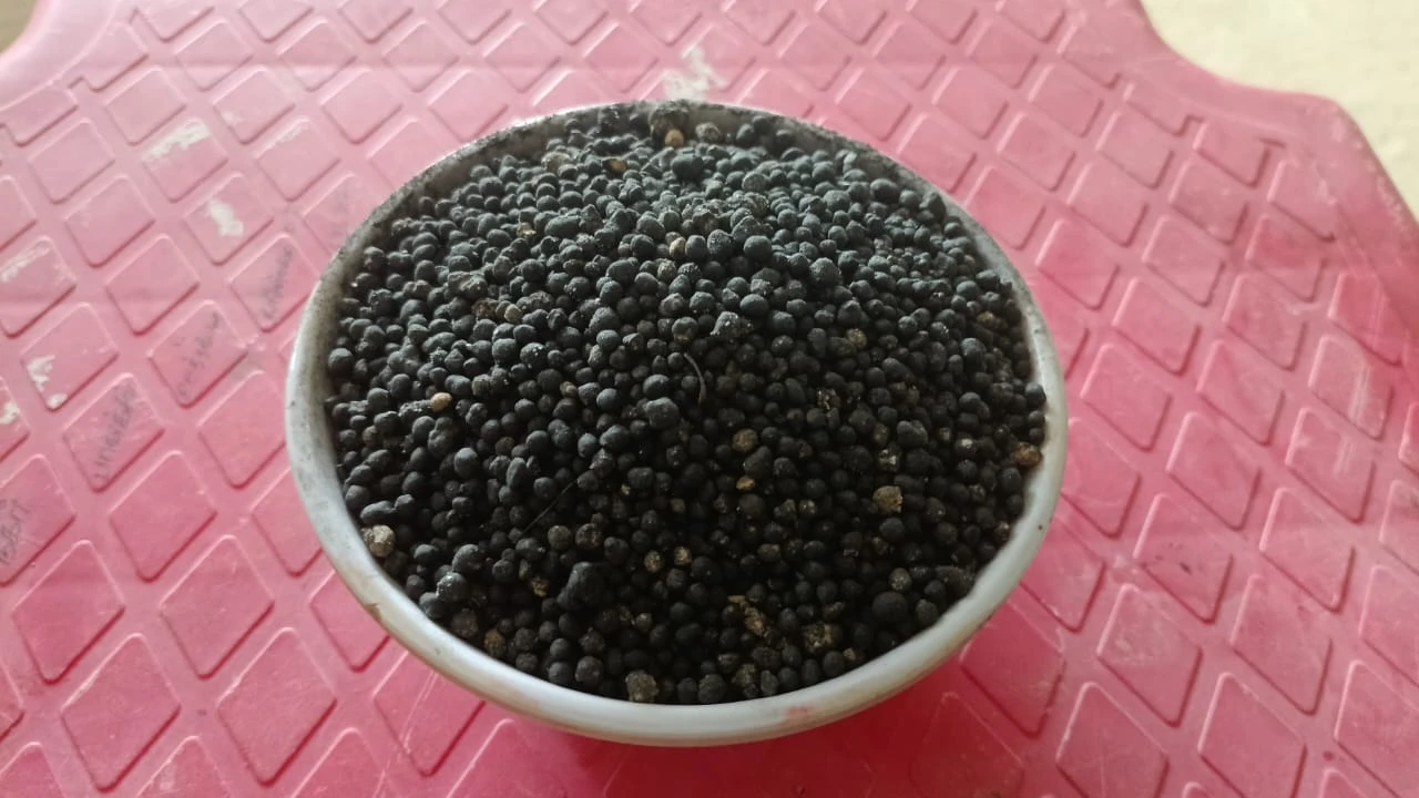 Organic Manure – Natural Fertilizer for Plants (5 kg) | Eco-Friendly Soil Enrich