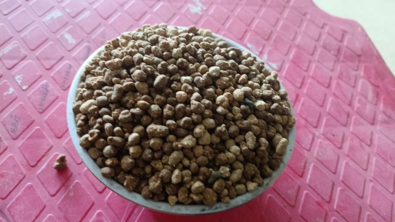 Organic Manure – Natural Fertilizer for Plants (5 kg) / C m s  farlizars 5 kg 12